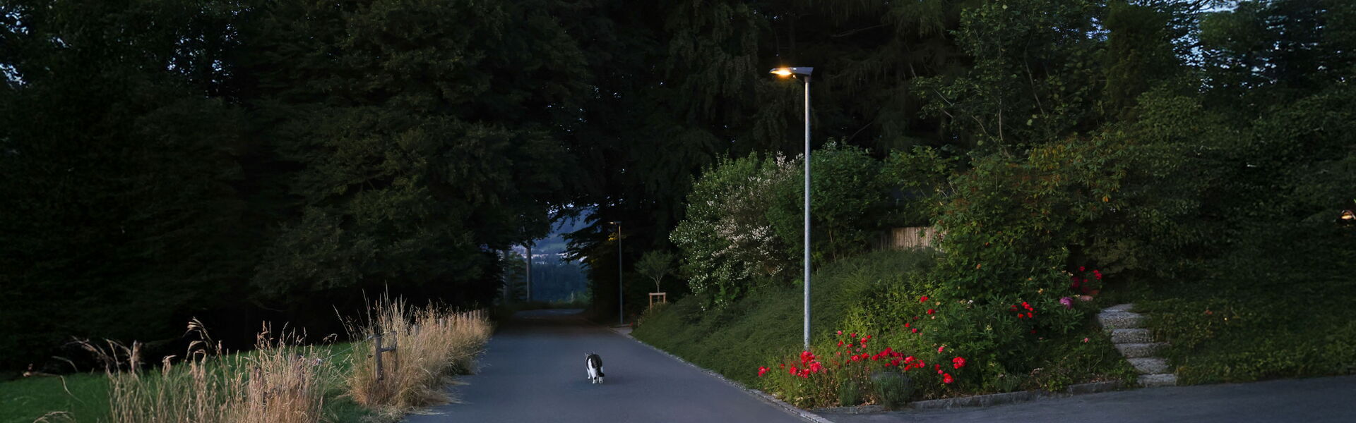 Nachhaltig gedacht, Verantwortung gelebt